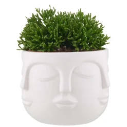 ARTIST Blumentopf Gesichter