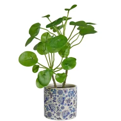 BLUE BLOSSOM Blumenübertopf