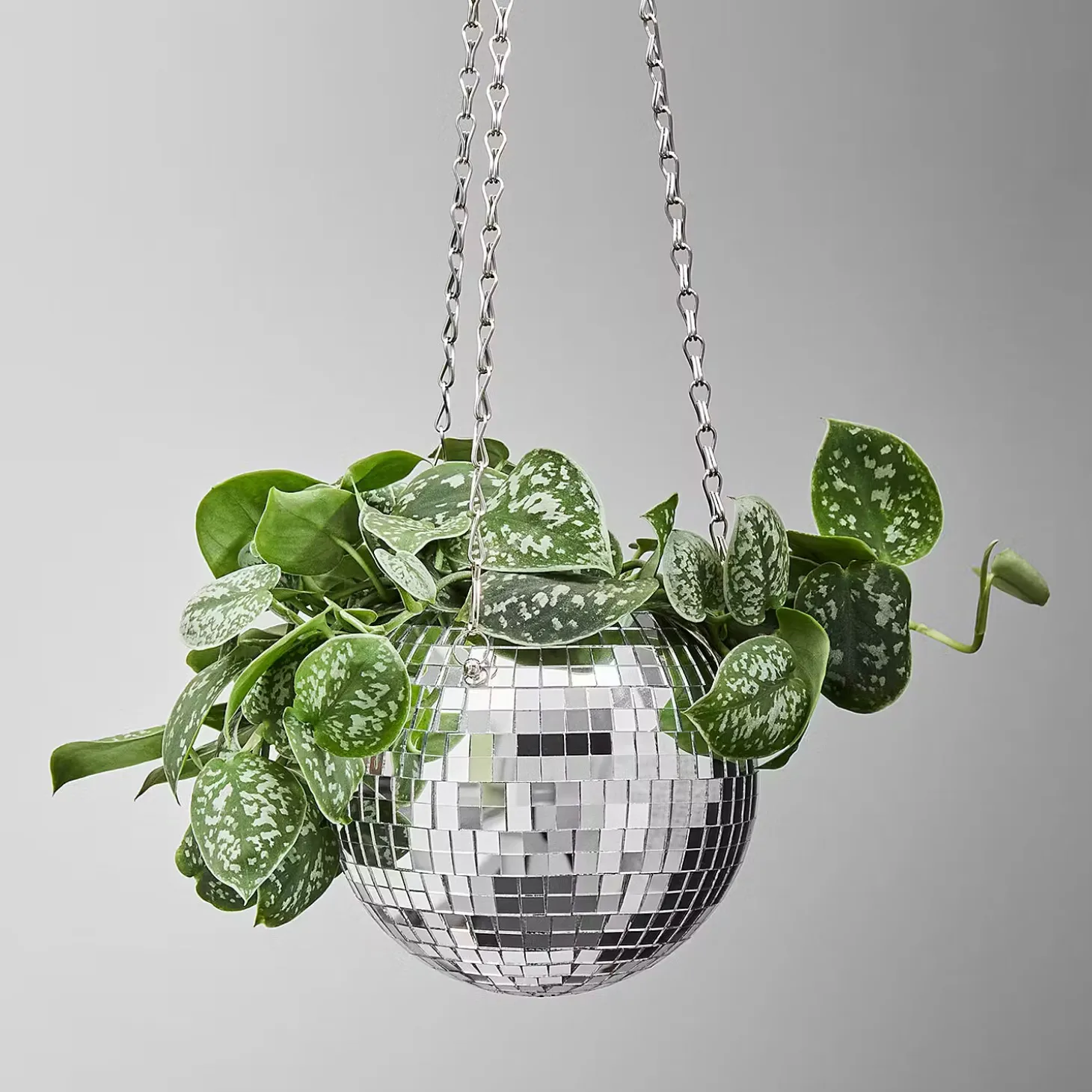 DISCO Blumenübertopf zum Hängen