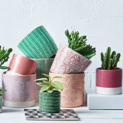 EARLY SPRING Blumentopf 6er-Set