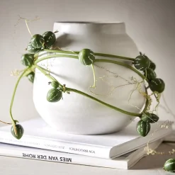 FINJA Blumentopf Vase