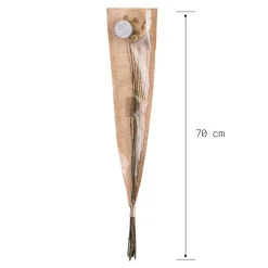 FLOWER MARKET Trockenblumen Craspedia