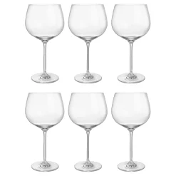 GIN LOVERS Ginglas 6er-Set