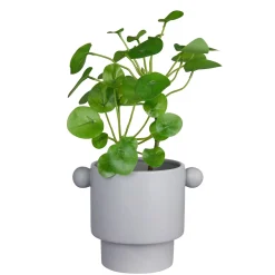 HANDLE Blumenübertopf