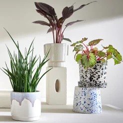 PAINTED Blumenübertopf