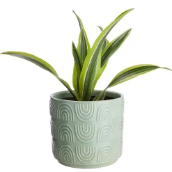 RAINBOW Blumenübertopf