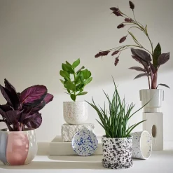 SPLASH Blumenübertopf mit Teller