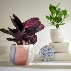 SPOT Blumenübertopf 2er-Set