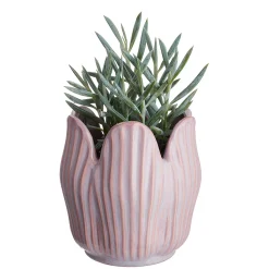 TULIP Blumenübertopf 4er-Set